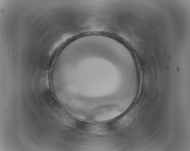 X0000066521262200603241328