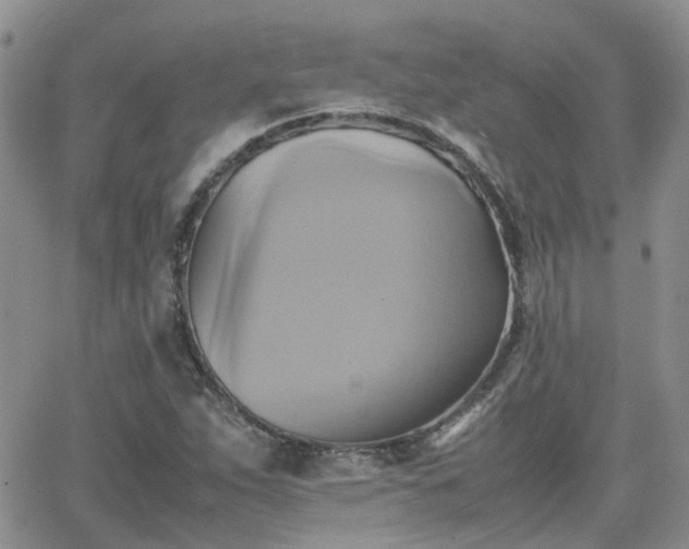 X0000066521263200603241327