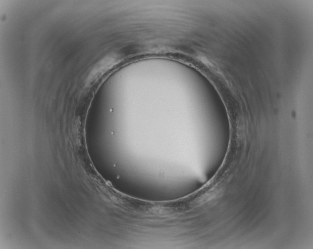 X0000066521265200603241327