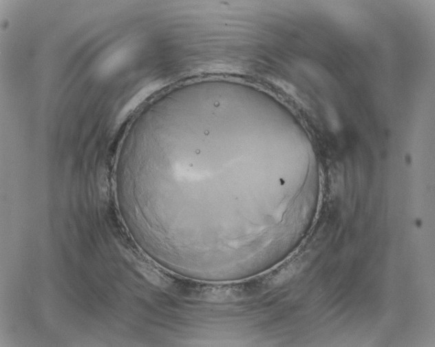 X0000066521266200603241327