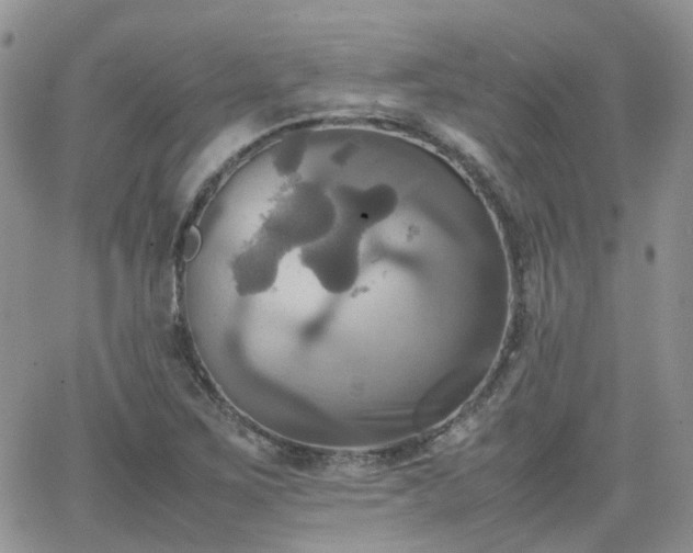 X0000066521267200603241327