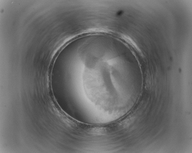 X0000066521268200603241327