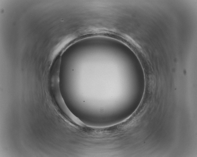 X0000066521269200603241327