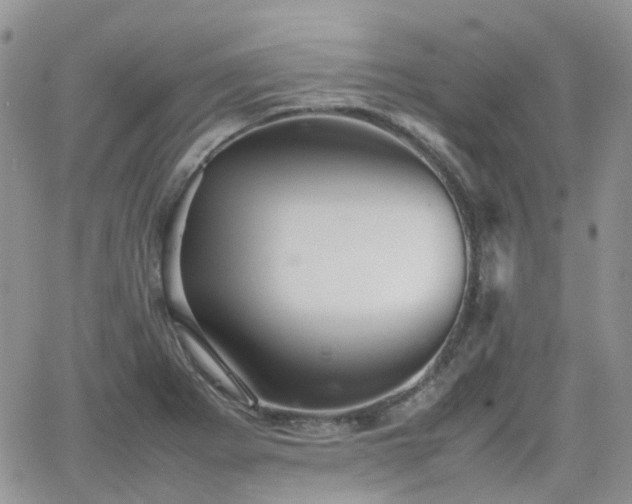 X0000066521273200603241327