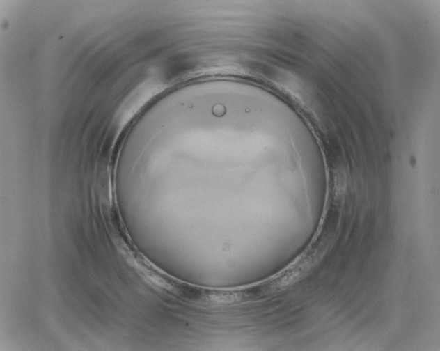 X0000066521274200603241327