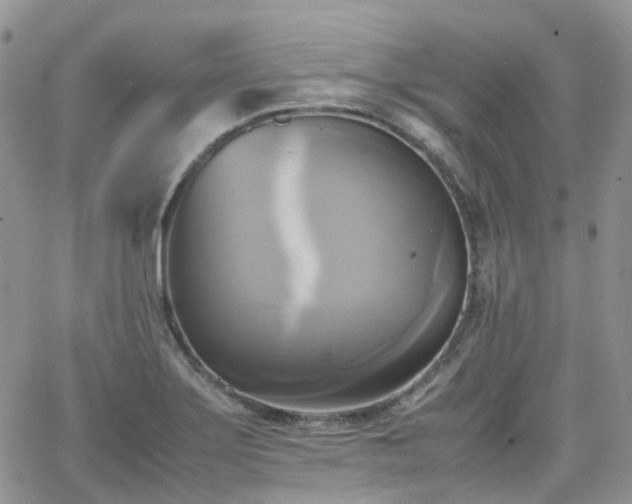 X0000066521275200603241327