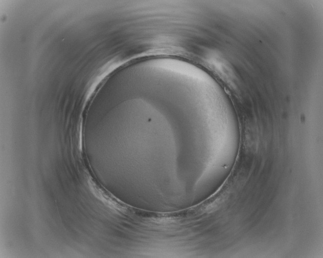 X0000066521276200603241327