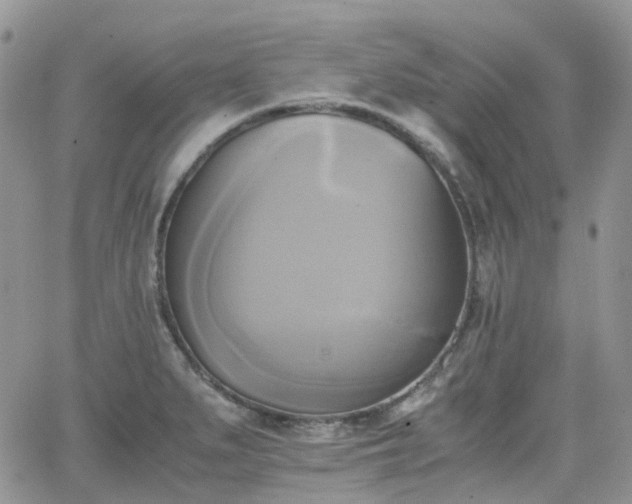 X0000066521279200603241327