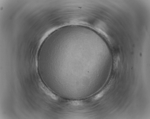 X0000066521280200603241327