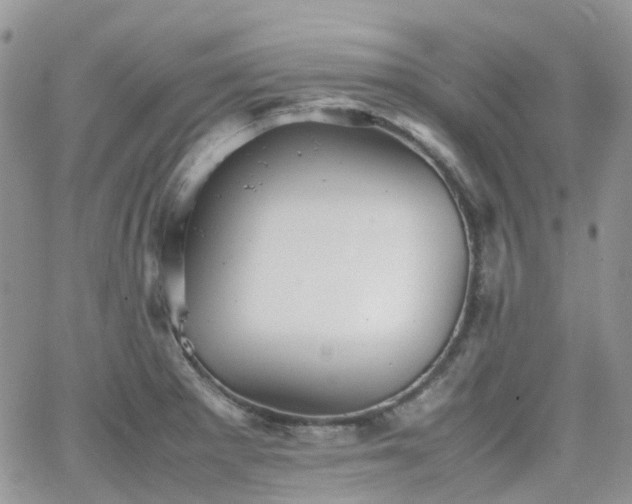 X0000066521281200603241327