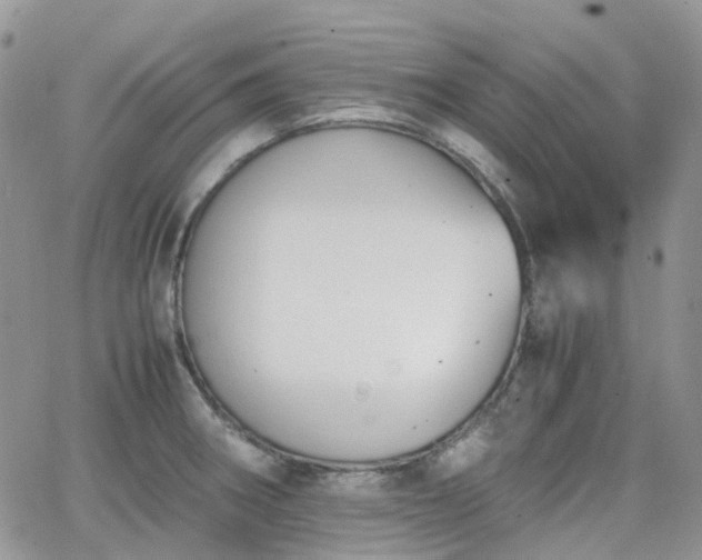 X0000066521282200603241327