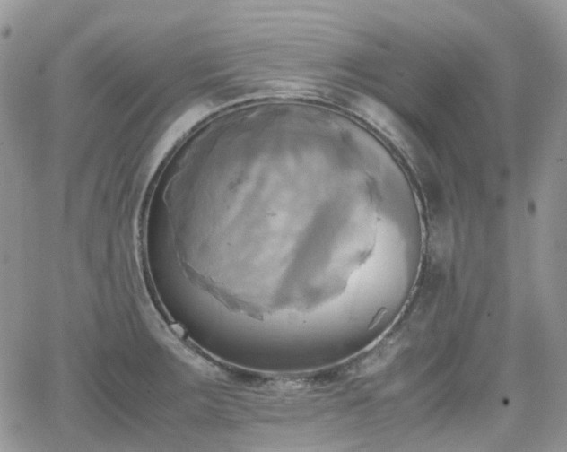 X0000066521283200603241327