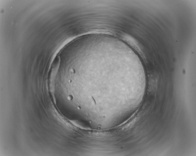 X0000066521284200603241327