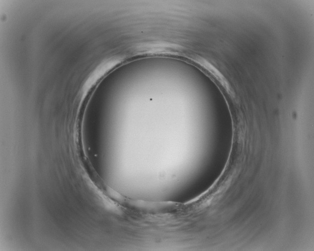 X0000066521285200603241327