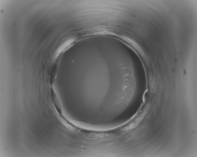 X0000066521289200603241327