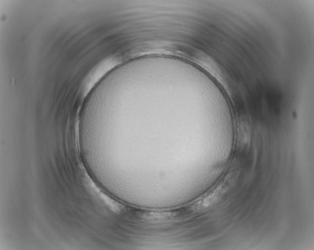 X0000066521290200603241327