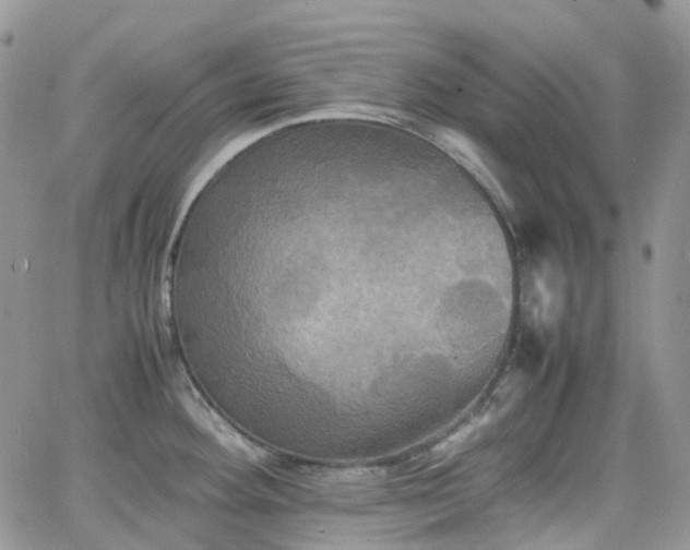 X0000066521292200603241327