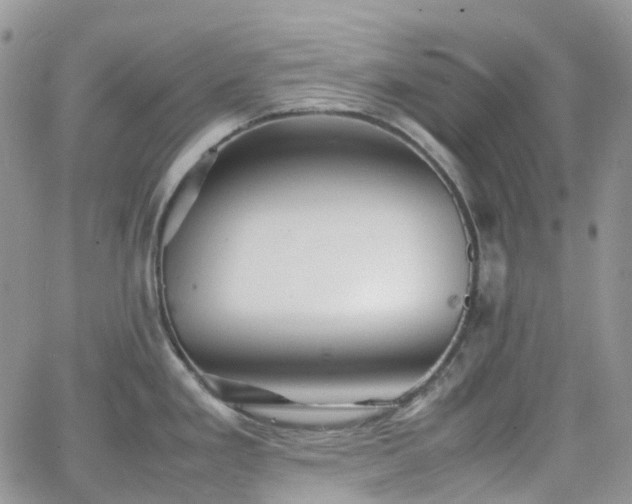 X0000066521293200603241327