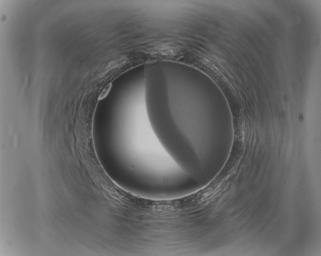 X0000066521297200603241326