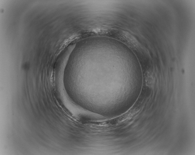 X0000066521298200603241326