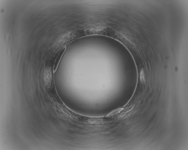 X0000066521299200603241326