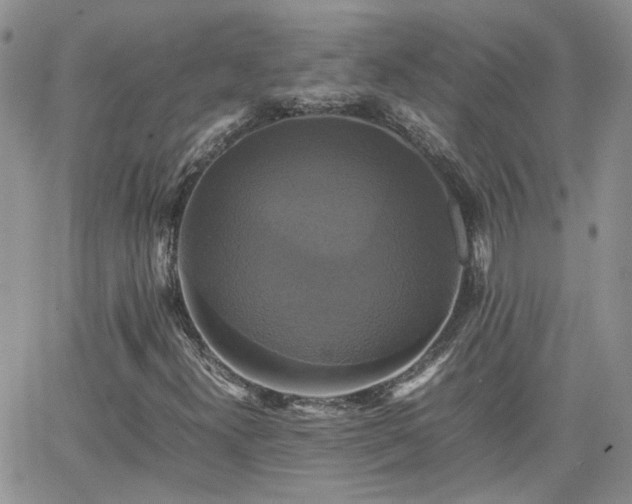 X0000066521300200603241326