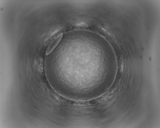 X0000066521301200603241326