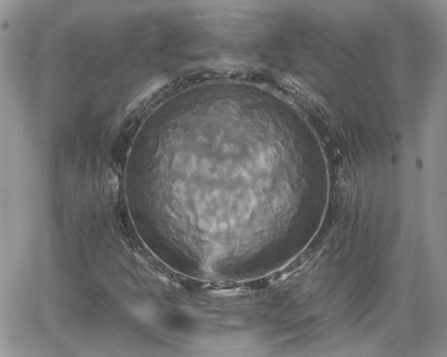 X0000066521302200603241326