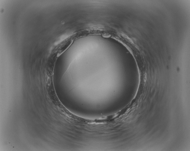 X0000066521303200603241326