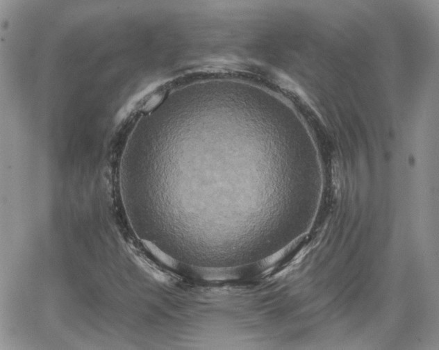 X0000066521304200603241326