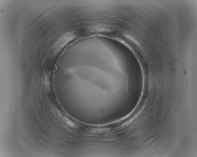 X0000066521305200603241326