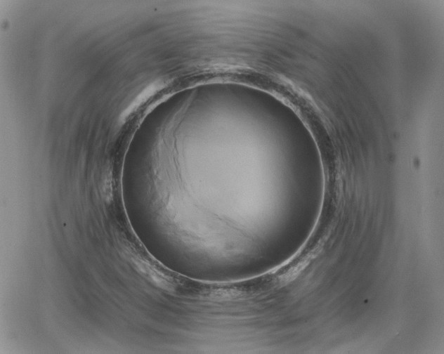 X0000066521306200603241326