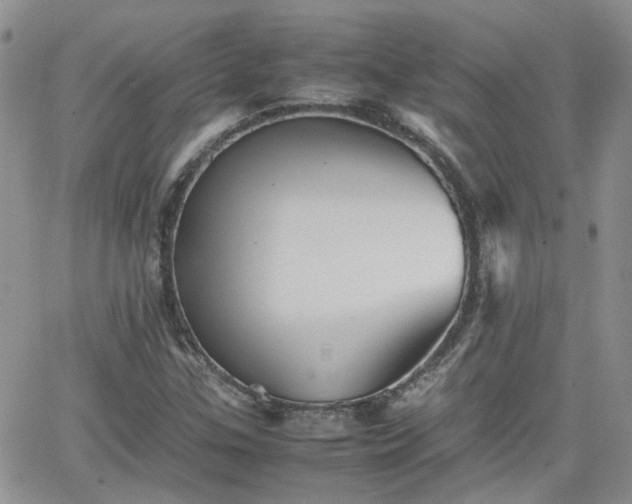 X0000066521307200603241326