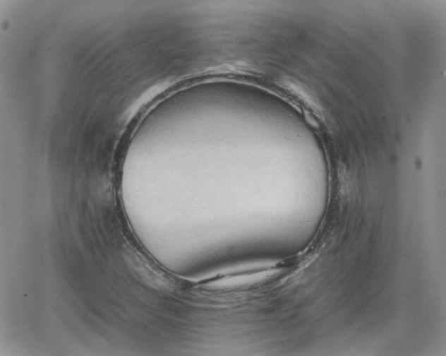 X0000066521308200603241326