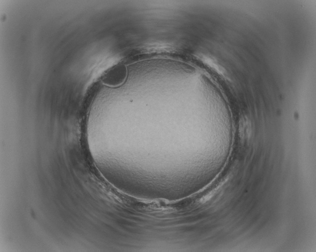 X0000066521309200603241326