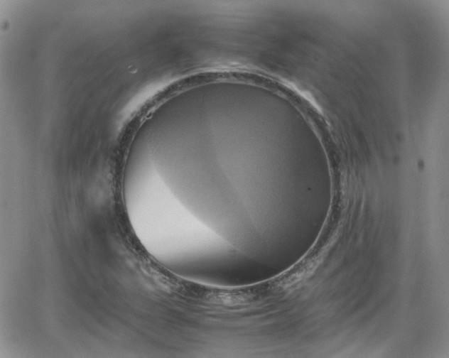 X0000066521311200603241326