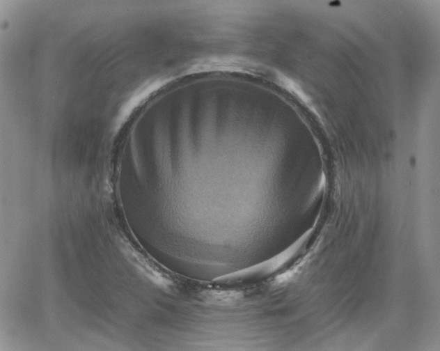 X0000066521312200603241326