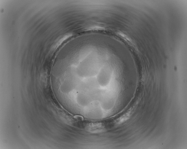 X0000066521313200603241326