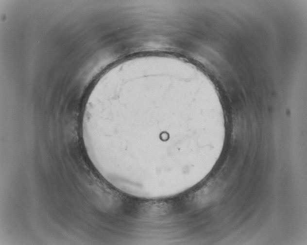 X0000066521314200603241326