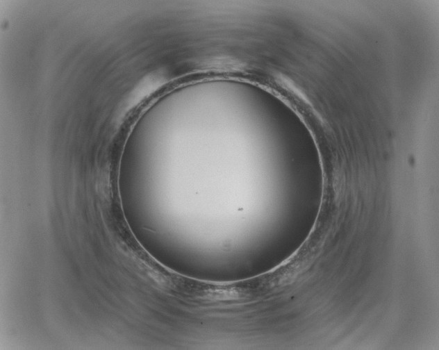 X0000066521315200603241326