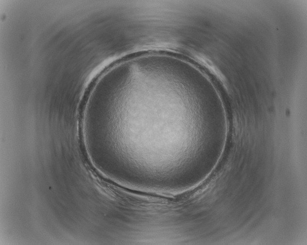 X0000066521316200603241326