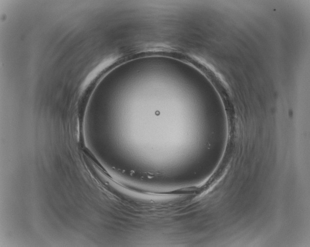 X0000066521317200603241327