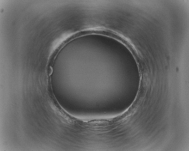 X0000066521319200603241327