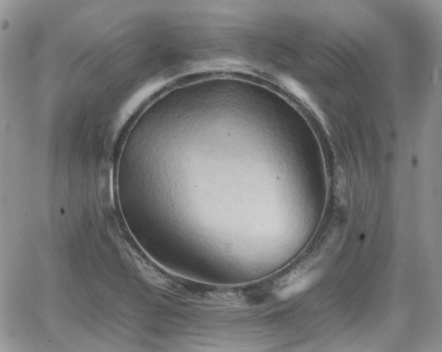 X0000066521320200603241327