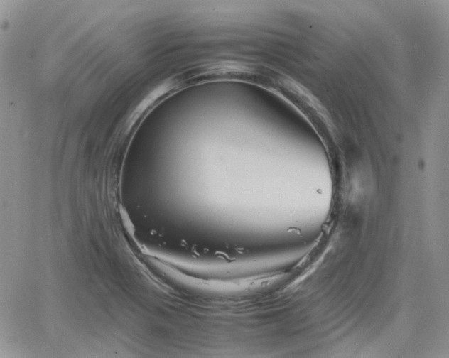 X0000066521321200603241327