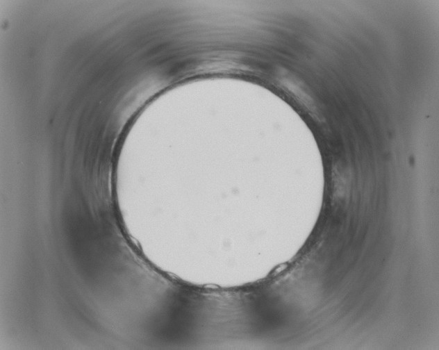 X0000066521322200603241327