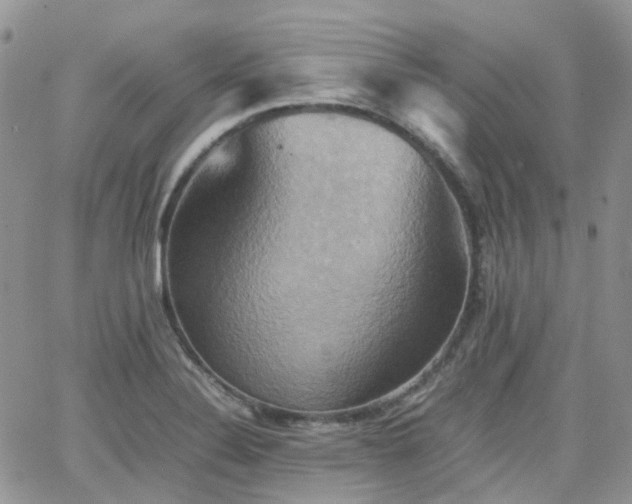 X0000066521324200603241327