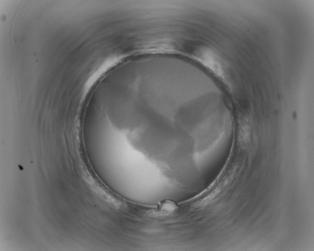 X0000066521325200603241327