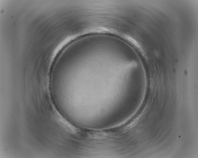 X0000066521326200603241327