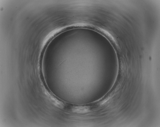 X0000066521327200603241327